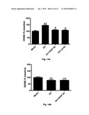 Stroke-generated angiogenesis enhancers and uses thereof diagram and image