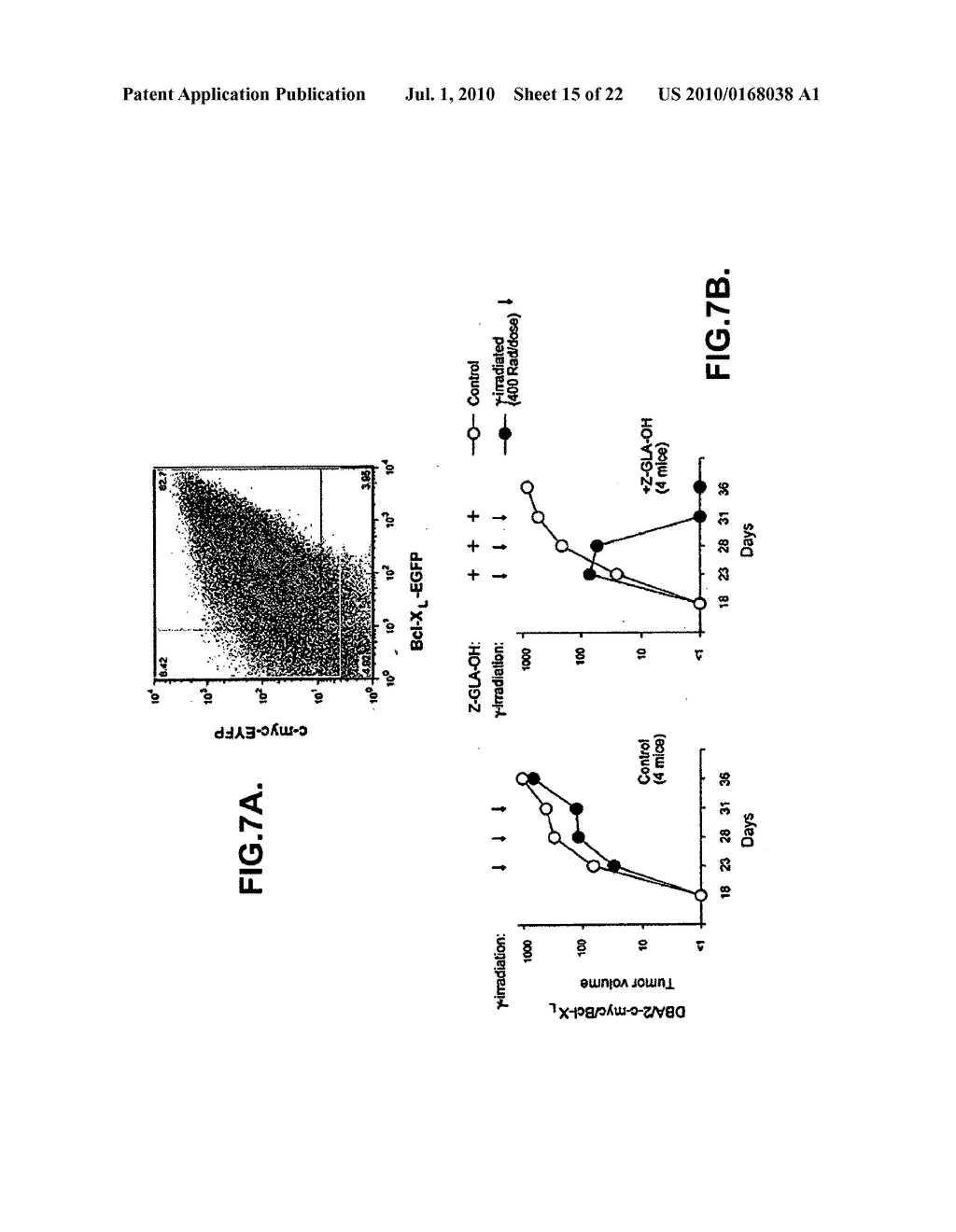 USE OF COMPOUNDS IN COMBINATION WITH GAMMA-IRRADIATION FOR THE TREATMENT OF CANCER - diagram, schematic, and image 16