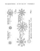 SUPERPARAMAGNETIC NANOPARTICLE ENCAPSULATED WITH STIMULI RESPONSIVE POLYMER FOR DRUG DELIVERY diagram and image