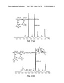 SUPERPARAMAGNETIC NANOPARTICLE ENCAPSULATED WITH STIMULI RESPONSIVE POLYMER FOR DRUG DELIVERY diagram and image