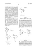 METHODS OF USING [3.2.0] HETEROCYCLIC COMPOUNDS AND ANALOGS THEREOF FOR TREATING INFECTIOUS DISEASES diagram and image