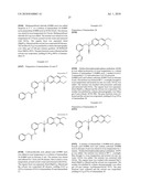 QUINOLINONE DERIVATIVES AS PARP AND TANK INHIBITORS diagram and image