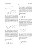 QUINOLINONE DERIVATIVES AS PARP AND TANK INHIBITORS diagram and image