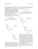 PHENYL DERIVATIVES AND METHODS OF USE diagram and image