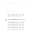 NUCLEIC ACID AND CORRESPONDING PROTEIN ENTITLED 151P3D4 USEFUL IN TREATMENT AND DETECTION OF CANCER diagram and image