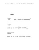 NUCLEIC ACID AND CORRESPONDING PROTEIN ENTITLED 151P3D4 USEFUL IN TREATMENT AND DETECTION OF CANCER diagram and image