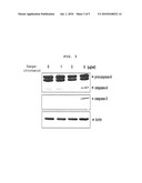 NOVEL USE OF SARGACHROMENOL diagram and image