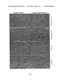 FUSION PROTEIN CARRYING NEUROTROPHIN ACROSS THE BLOOD-BRAIN BARRIER, ENCODING GENE AND USES THEREOF diagram and image