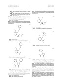 NOVEL PROCESSES FOR THE PRODUCTION OF USEFUL INTERMEDIATES diagram and image