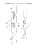 GREEN PROCESS AND COMPOSITIONS FOR PRODUCING POLY(5HV) AND 5 CARBON CHEMICALS diagram and image