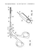 ENDOSCOPIC DELIVERY OF MEDICAL DEVICES diagram and image