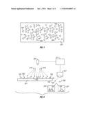 METHOD AND APPARATUS FOR SORTING CONTAMINATED GLASS diagram and image