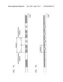 DISTRIBUTION APPARATUS, COMMUNICATION SYSTEM AND COMUNICATION METHOD diagram and image