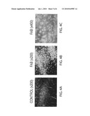 ANIMAL MODEL SIMULATING NEUROLOGIC DISEASE diagram and image