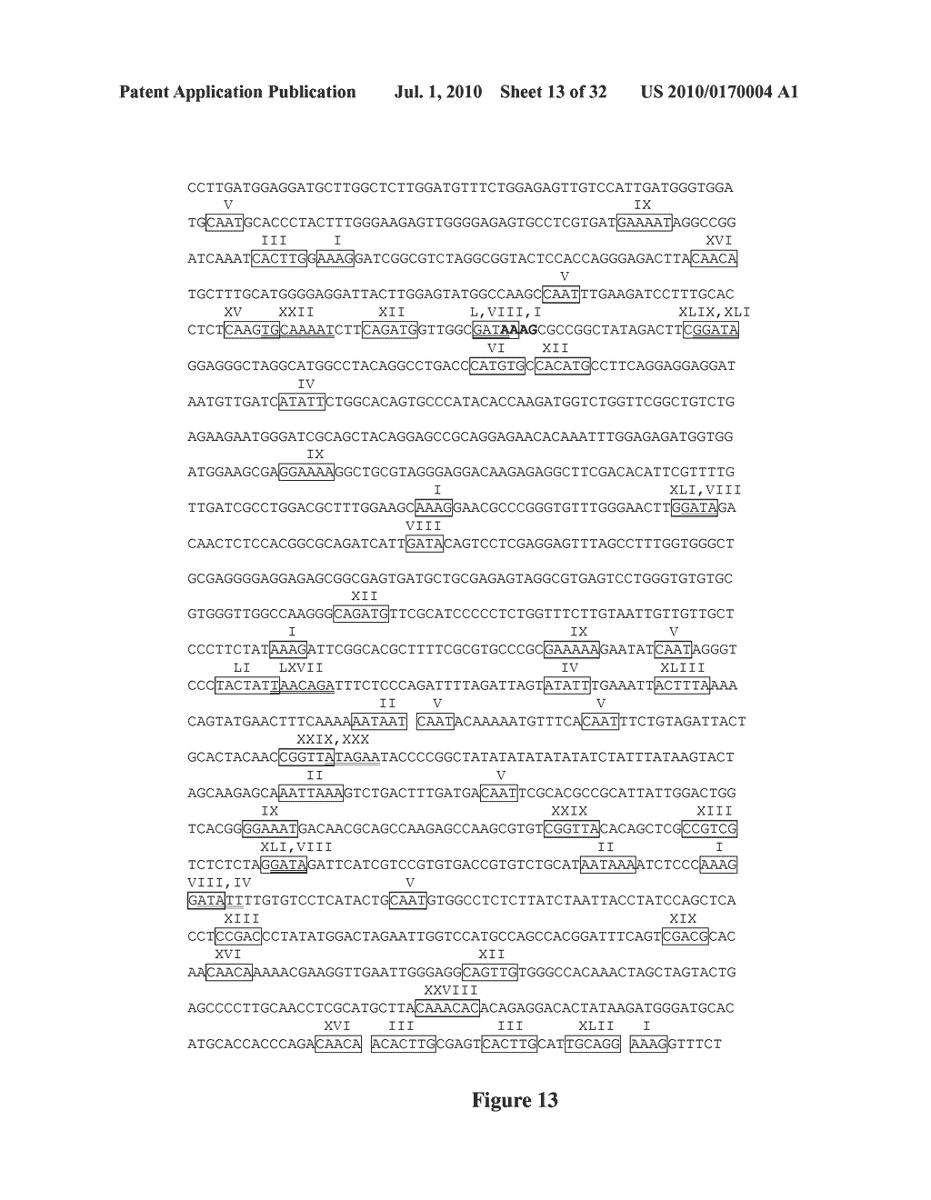 COMPOSITIONS AND METHODS FOR THE MODIFICATION OF GENE EXPRESSION - diagram, schematic, and image 14