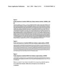 USE OF SUBTILISIN (RNR9) POLYNUCLEOTIDES FOR ACHIEVING A PATHOGEN RESISTANCE IN PLANTS diagram and image