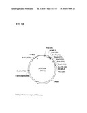 USE OF SUBTILISIN (RNR9) POLYNUCLEOTIDES FOR ACHIEVING A PATHOGEN RESISTANCE IN PLANTS diagram and image