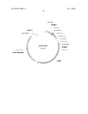 USE OF SUBTILISIN (RNR9) POLYNUCLEOTIDES FOR ACHIEVING A PATHOGEN RESISTANCE IN PLANTS diagram and image