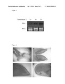 HEAT- AND ETHYLENE-INDUCIBLE FRUIT SPECIFIC PROMOTER diagram and image