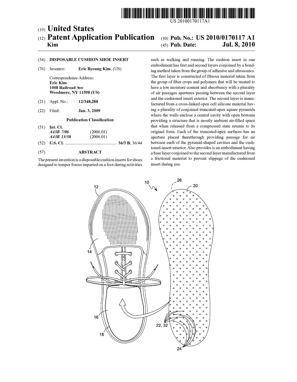Disposable Cushion Shoe Insert - diagram, schematic, and image 01