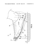 Disposable Cushion Shoe Insert diagram and image