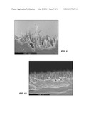 MULTILAYER POLYMERIC ARTICLES AND METHODS FOR MAKING SAME diagram and image