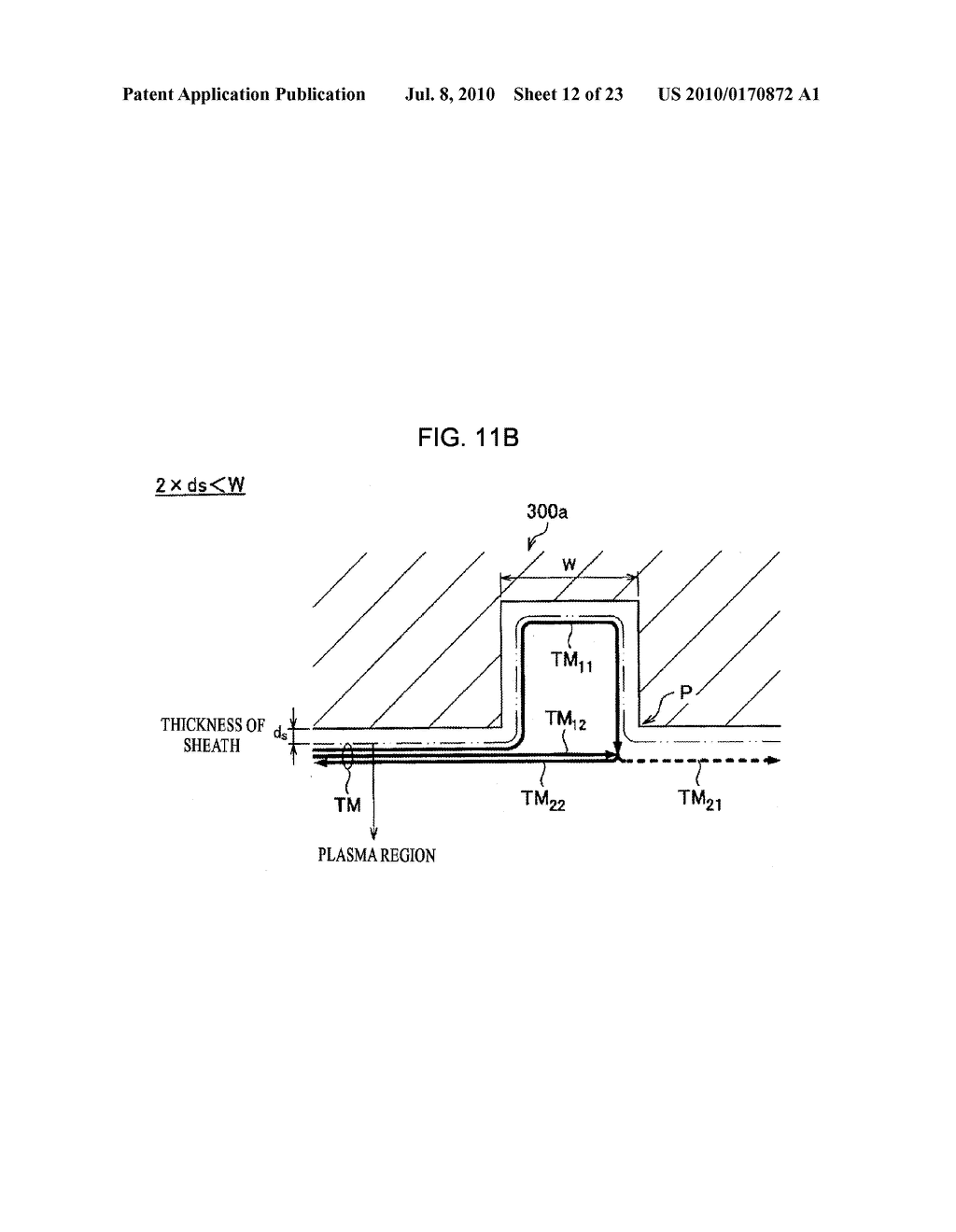 PLASMA PROCESSING APPARATUS AND METHOD FOR USING PLASMA PROCESSING APPARATUS - diagram, schematic, and image 13