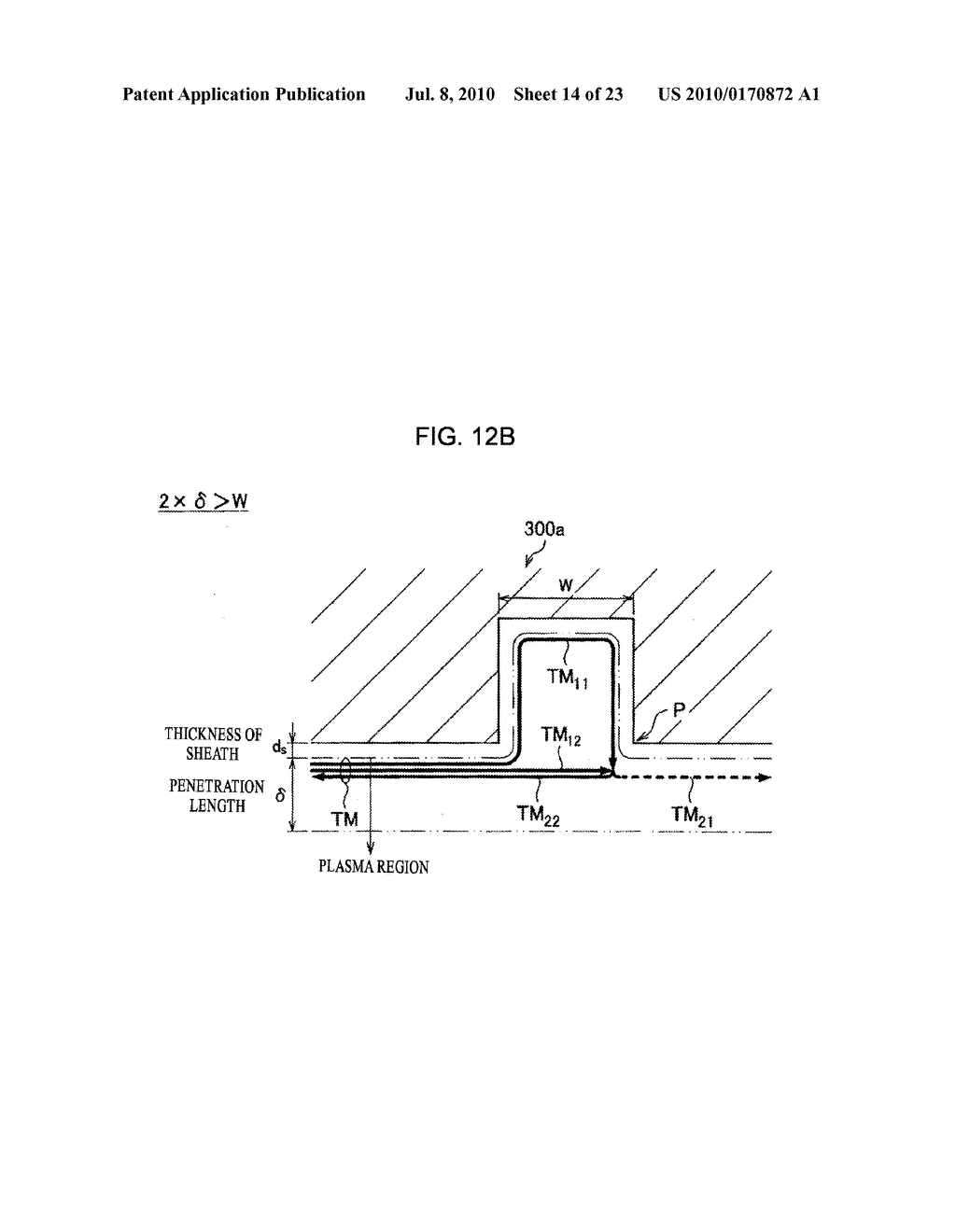 PLASMA PROCESSING APPARATUS AND METHOD FOR USING PLASMA PROCESSING APPARATUS - diagram, schematic, and image 15