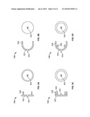 SQUIRTING TOY INCLUDING A SUPPLEMENTAL RESERVOIR SYSTEM AND METHODS THEREOF diagram and image