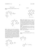 ORGANIC ELECTROLUMINESCENT DEVICE diagram and image