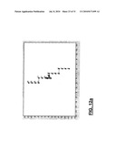 RF BASED SPATIALLY SELECTIVE EXCITATION IN MRI diagram and image