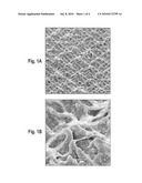 METHOD FOR THE PRODUCTION OF A MICROFLUIDIC SYSTEM ON A POLYMER SURFACE diagram and image