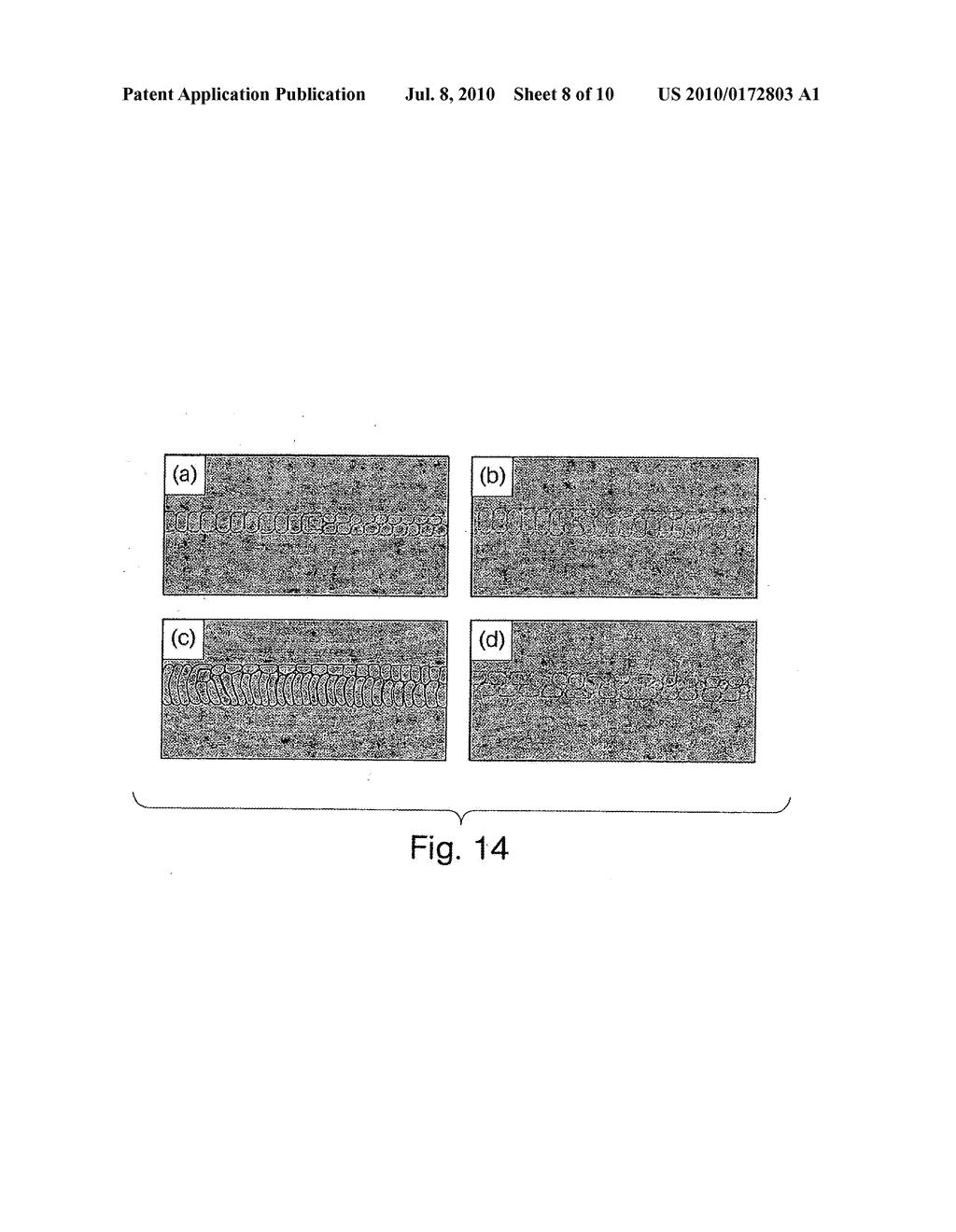 METHOD AND APPARATUS FOR FLUID DISPERSION - diagram, schematic, and image 09