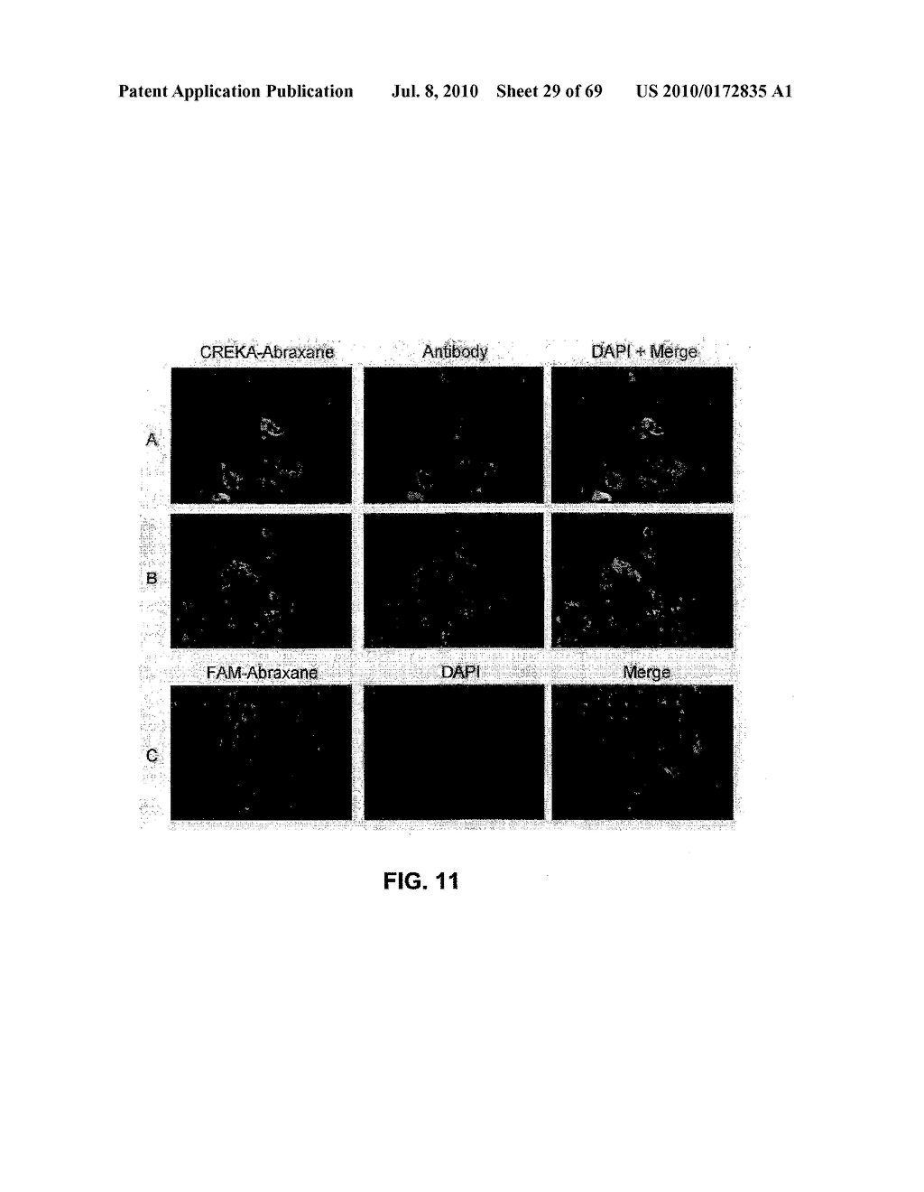 METHODS AND COMPOSITIONS FOR SYNAPHICALLY-TARGETED TREATMENT FOR CANCER - diagram, schematic, and image 30