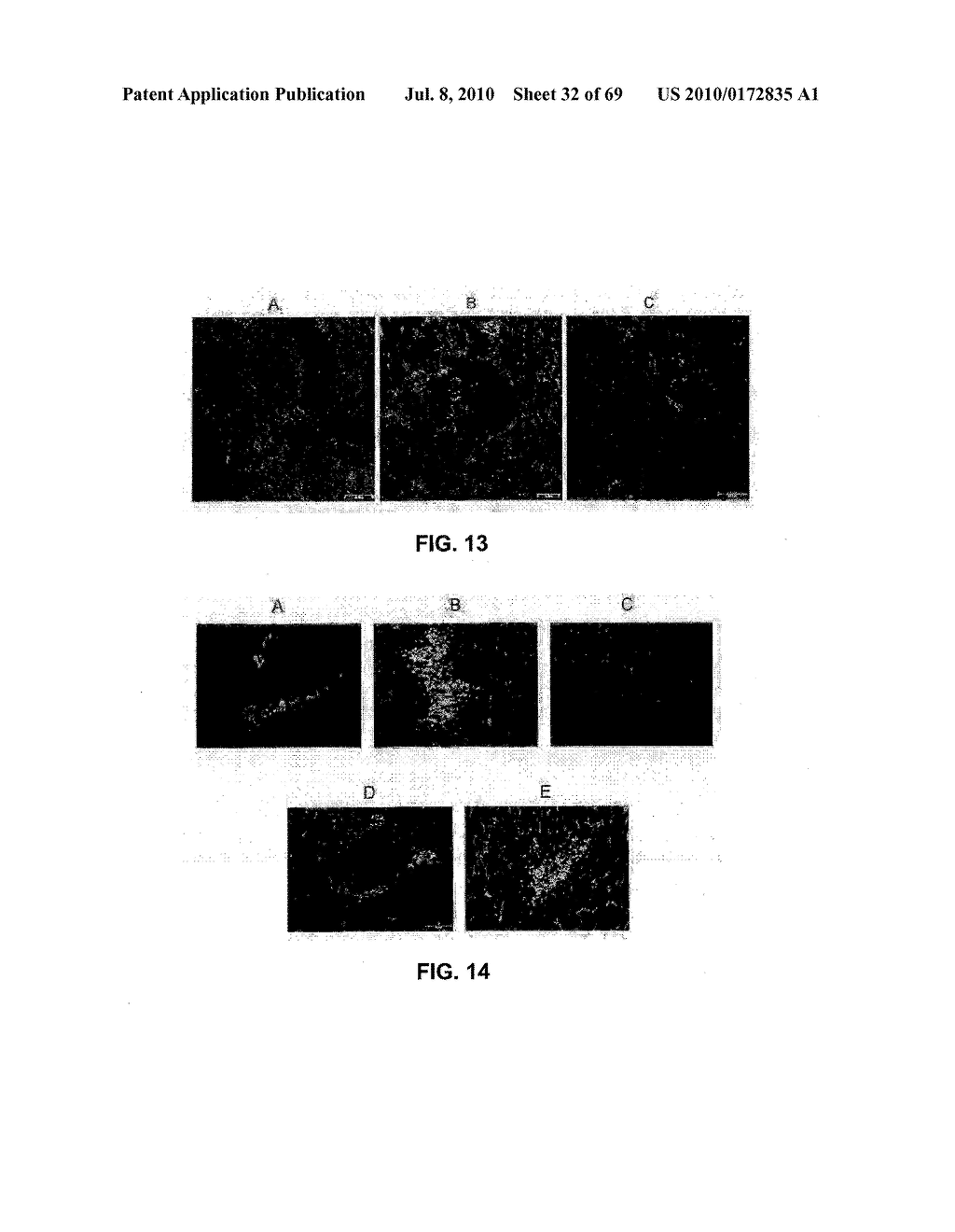 METHODS AND COMPOSITIONS FOR SYNAPHICALLY-TARGETED TREATMENT FOR CANCER - diagram, schematic, and image 33