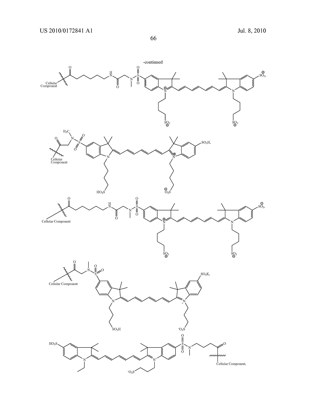 VIABLE NEAR-INFRARED FLUOROCHROME LABELED CELLS AND METHODS OF MAKING AND USING THE SAME - diagram, schematic, and image 69