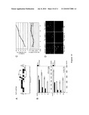 USE OF TAILORED RECOMBINASES FOR THE TREATMENT OF RETROVIRAL INFECTIONS diagram and image