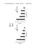 Use of Reversine and Analogs For Treatment of Cancer diagram and image