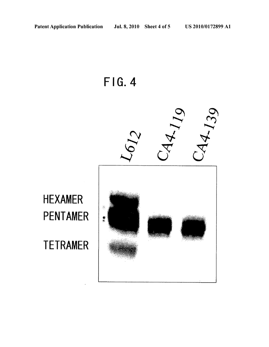 IgM Production by Transformed Cell and Method of Quantifying the Same - diagram, schematic, and image 05