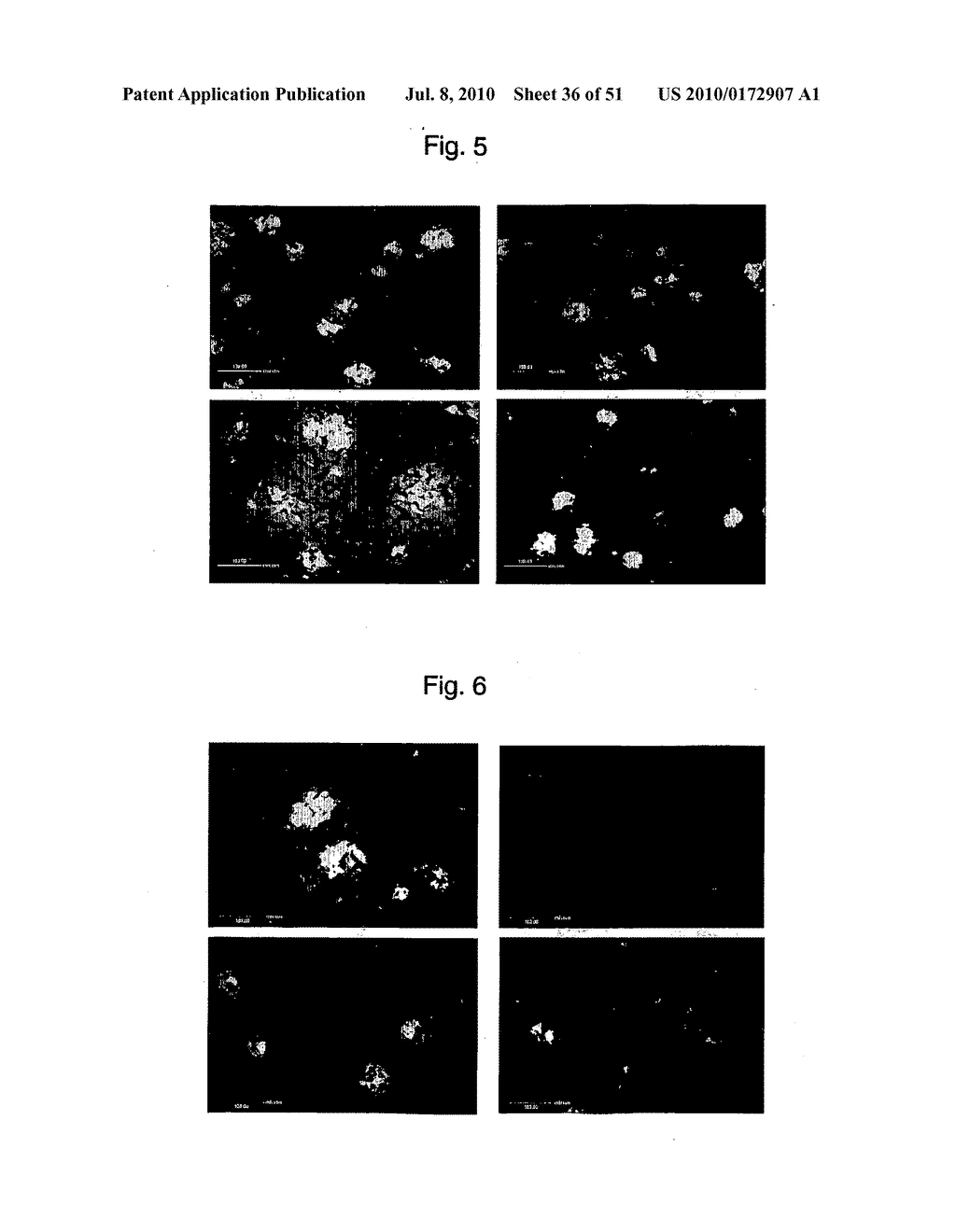 Anti-Abeta antibodies and their use - diagram, schematic, and image 37