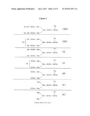 Methods and Vectors for Generating Asialylated Immunoglobulins diagram and image