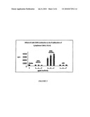 METHODS OF THERAPY FOR B-CELL MALIGNANCIES USING ANTAGONIST ANTI-CD40 ANTIBODIES diagram and image