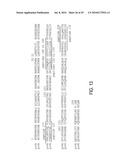 CIRCOVIRUS SEQUENCES ASSOCIATED WITH PIGLET WEIGHT LOSS DISEASE (PWD) diagram and image