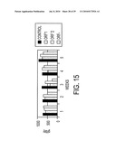 CIRCOVIRUS SEQUENCES ASSOCIATED WITH PIGLET WEIGHT LOSS DISEASE (PWD) diagram and image