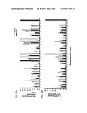 HLA-A2-RESTRICTED T-CELL EPITOPES OF THE RESPIRATORY SYNCYTIAL VIRUS FUSION PROTEIN AS PEPTIDE-BASED VACCINES diagram and image