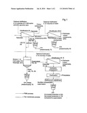 Novel canola protein isolate diagram and image