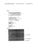 BEAM-LIKE MATERIAL COMPRISING CARBON NANOTUBE AND MANUFACTURING METHOD THEREOF diagram and image