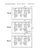 IMAGE GENERATION SYSTEM FOR DISPLAYING PRIMARY DISPLAY DATA AND SECONDARY DISPLAY DATA diagram and image