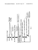 DETECTION USING PRIMERS TO REPETITIVE DNA AND TRANSCRIPTION-BASED AMPLIFICATION THEREBY diagram and image