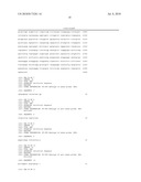 HCV NS3 protease replicon shuttle vectors diagram and image